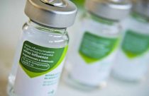 Instituto brasileiro desenvolve vacina contra gripe aviária