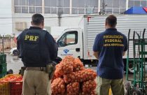 Megaoperação apreende gado e produtos irregulares