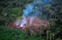 Desmatamento na Amazônia triplica em março