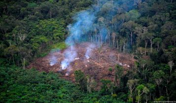Desmatamento na Amazônia triplica em março