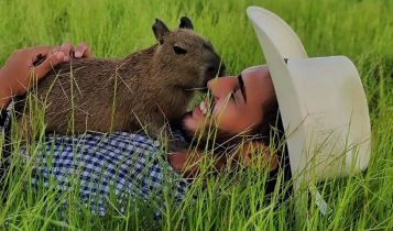 Agenor Tupinambá é multado pelo Ibama e pode perder Filó, um filhote de capivara