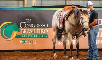 Araçatuba recebe o 32º Congresso Brasileiro do Quarto de Milha