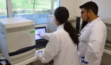 Com mais de 40 mil amostras analisadas, Brasil segue livre de influenza aviária