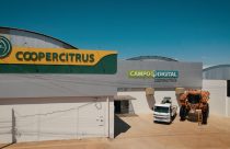 Coopercitrus cresce 19% com faturamento de R＄9,4 BI em 2022