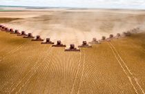 Empresa do agro deve ter alta de 55%; Veja onde investir!