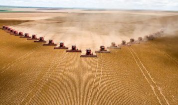 Empresa do agro deve ter alta de 55%; Veja onde investir!