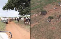 IBAMA embarga novas fazendas