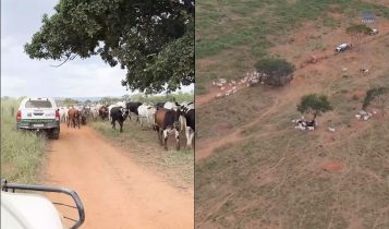 IBAMA embarga novas fazendas