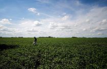 CNA vê necessidade de aumento de 18,5% no Plano Safra 23/24