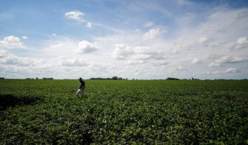 CNA vê necessidade de aumento de 18,5% no Plano Safra 23/24