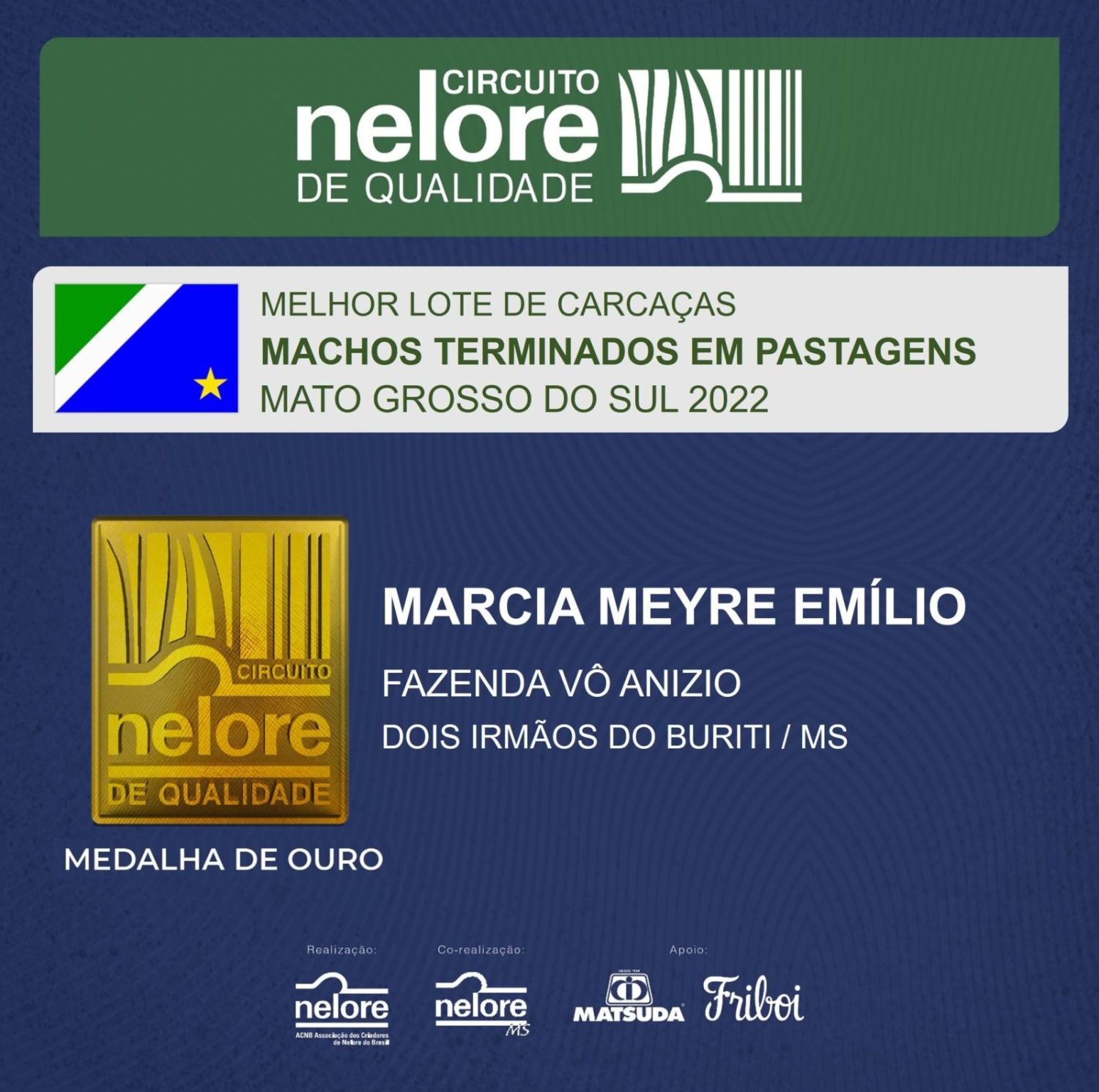 MELHOR LOTE DE CARCAÇA DE MACHOS NELORE DE 2022, no circuito Nelore de Qualidade promovido pelo JBS.