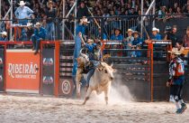 Montarias em touro pela LNR agitarão arena do RRM