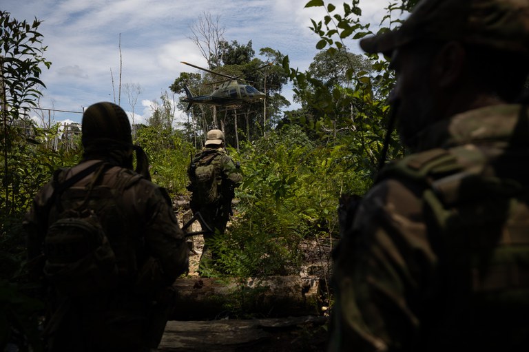 Multas por desmatamento na Amazônia aumentam 219% no trimestre