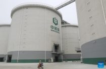 Sinograin estatal chinesa - silos de armazenagem