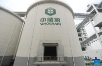 Sinograin estatal chinesa - silos de armazenagem