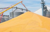 Socafé implanta o app MinhaSafra360 para automatizar e agilizar os processos de colheita