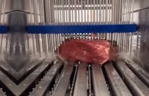 adicao mecanica de agua na carne