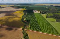 agricultura-fantastica-area-com-pivot-fotao-Amanda-Apolinario-Matos