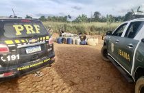 Ibama apreende 500 mil cabeças de gado e embarga fazendas no Norte do país