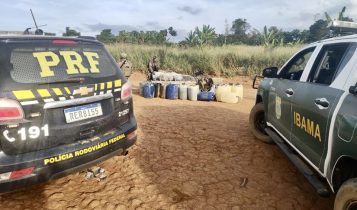 Ibama apreende 500 mil cabeças de gado e embarga fazendas no Norte do país