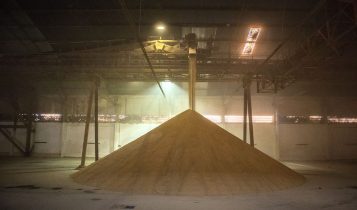A expectativa dos operadores é movimentar 120 mil toneladas do produto pela estrutura pública, nestes três primeiros meses do ano. - Foto: Claudio Neves/Portos do Paraná
