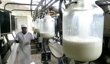 Preço do leite cai 5,7% em julho e registra terceira queda consecutiva