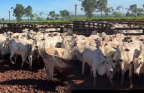 Fazenda Vô Anizio, em Dois Irmãos do Buriti, Mato Grosso do Sul
