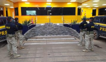 carga de cocaina em caroco de algodao
