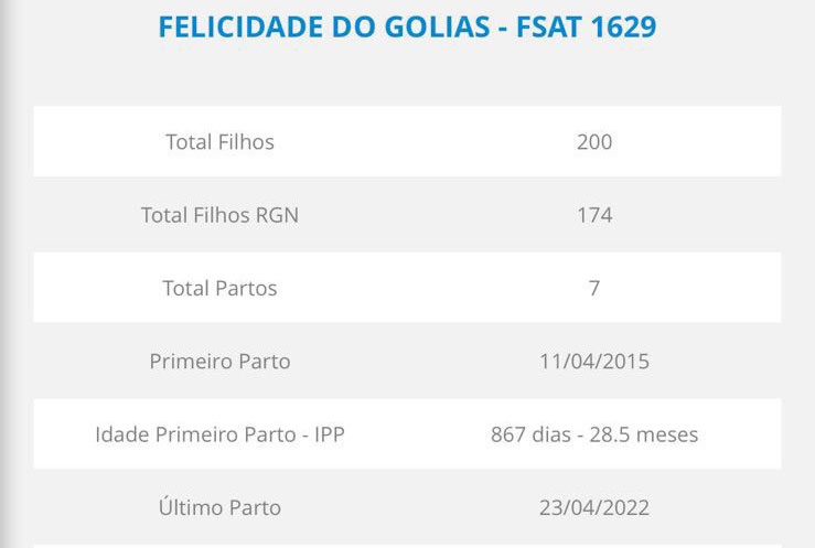 felicidade do golias - ficha na abcz