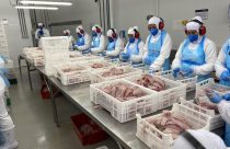 fider-pescados-processamento-da-tilapia