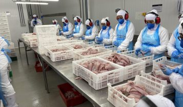fider-pescados-processamento-da-tilapia