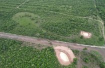 Imagens captadas pelo drone flagraram a entrada irregular de gado contrabandeado da Bolívia. Animais estavam sendo levados por dentro de fazendas vizinhas