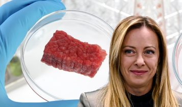 giorgina meloni - proibir carne sintetica