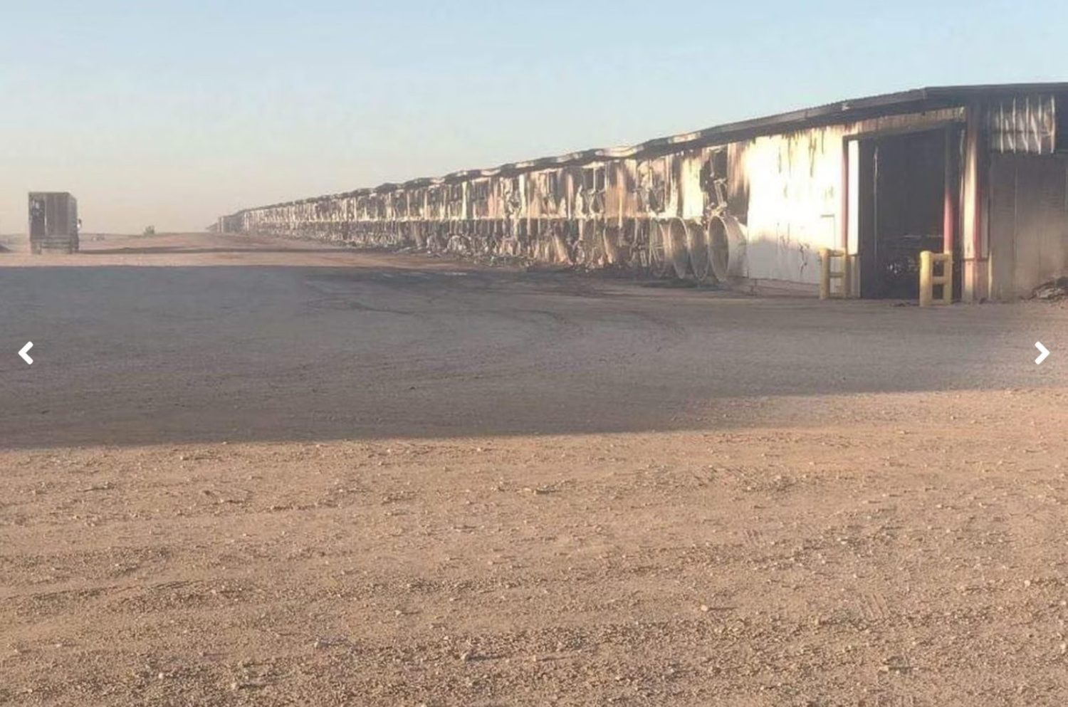 incendio em fazenda leiteira no texas