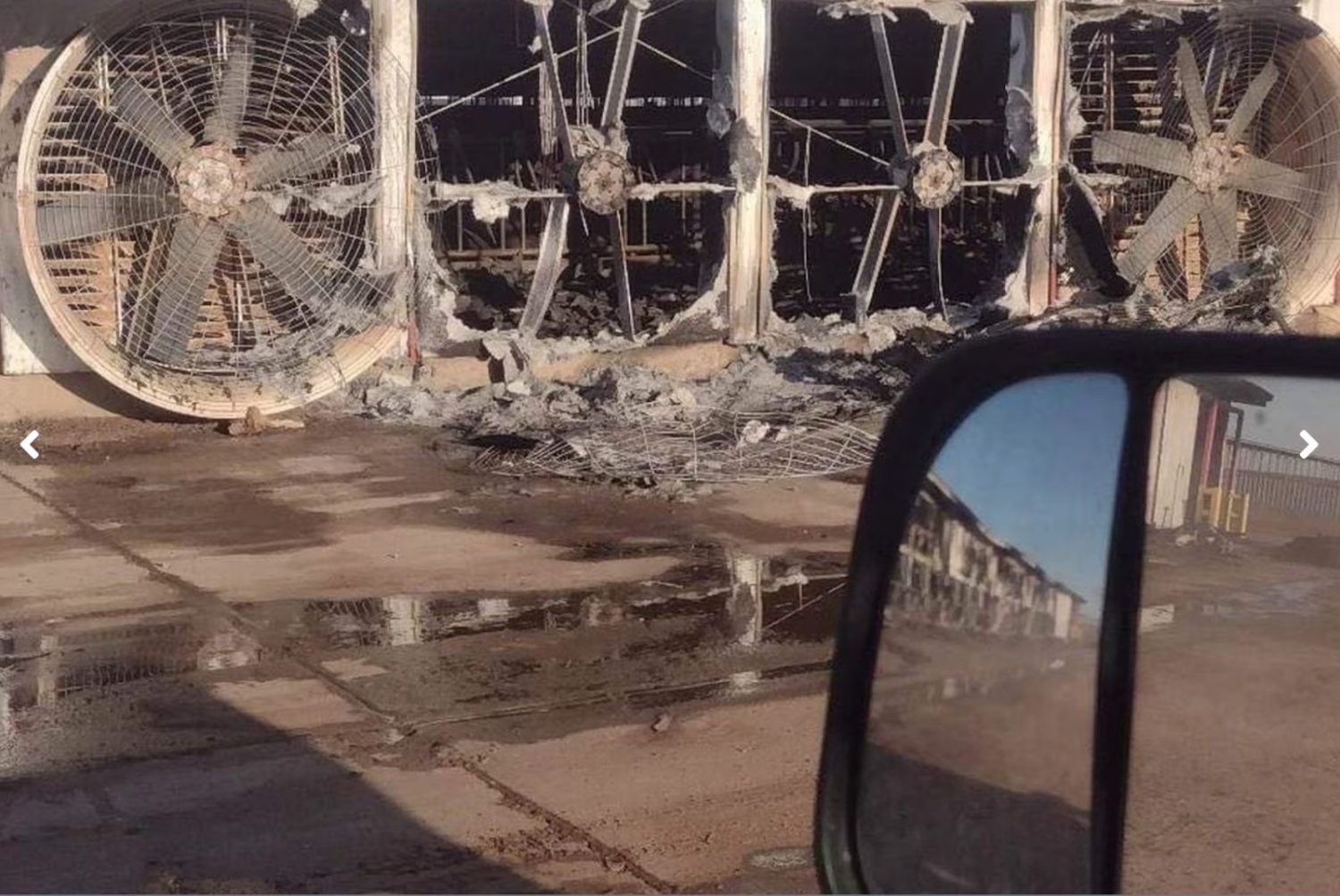 incendio em fazenda leiteira no texas