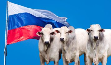 frigoríficos para a rússia