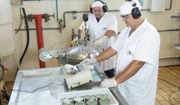 Aquicultura Controle de processamento térmico de pescado