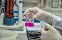 Laboratório de microbiologia de solos da Embrapa Cerrados.