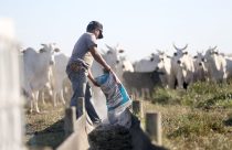 Pecuarista toma prejuízo de R$ 1,5 milhão com alagamento