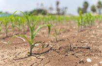 El Niño: relembre os eventos extremos que causaram mais danos no último ano