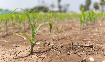 El Niño: relembre os eventos extremos que causaram mais danos no último ano