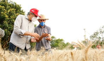 2021-09-24_Producao-alimentos_trigo_Agrovila-3_assentamento-Pirituba_Visita-Haddad_SP_Foto-Manuela-Hernandez-47.web_