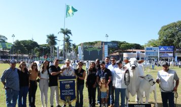 Casa-Branca-faz-a-Grande-Campea-e-e-o-Melhor-Expositor-Nelore-da-88-Expozebu-foto-divulgacao