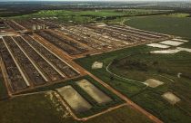 Confinamento Fazenda Conforto - Goias - Brasil - fotao