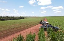Conheça a startup de inteligência artificial no agro vencedora de prêmio na Agrishow - cromai