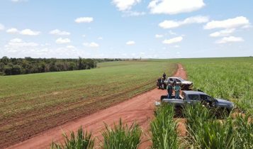 Conheça a startup de inteligência artificial no agro vencedora de prêmio na Agrishow - cromai