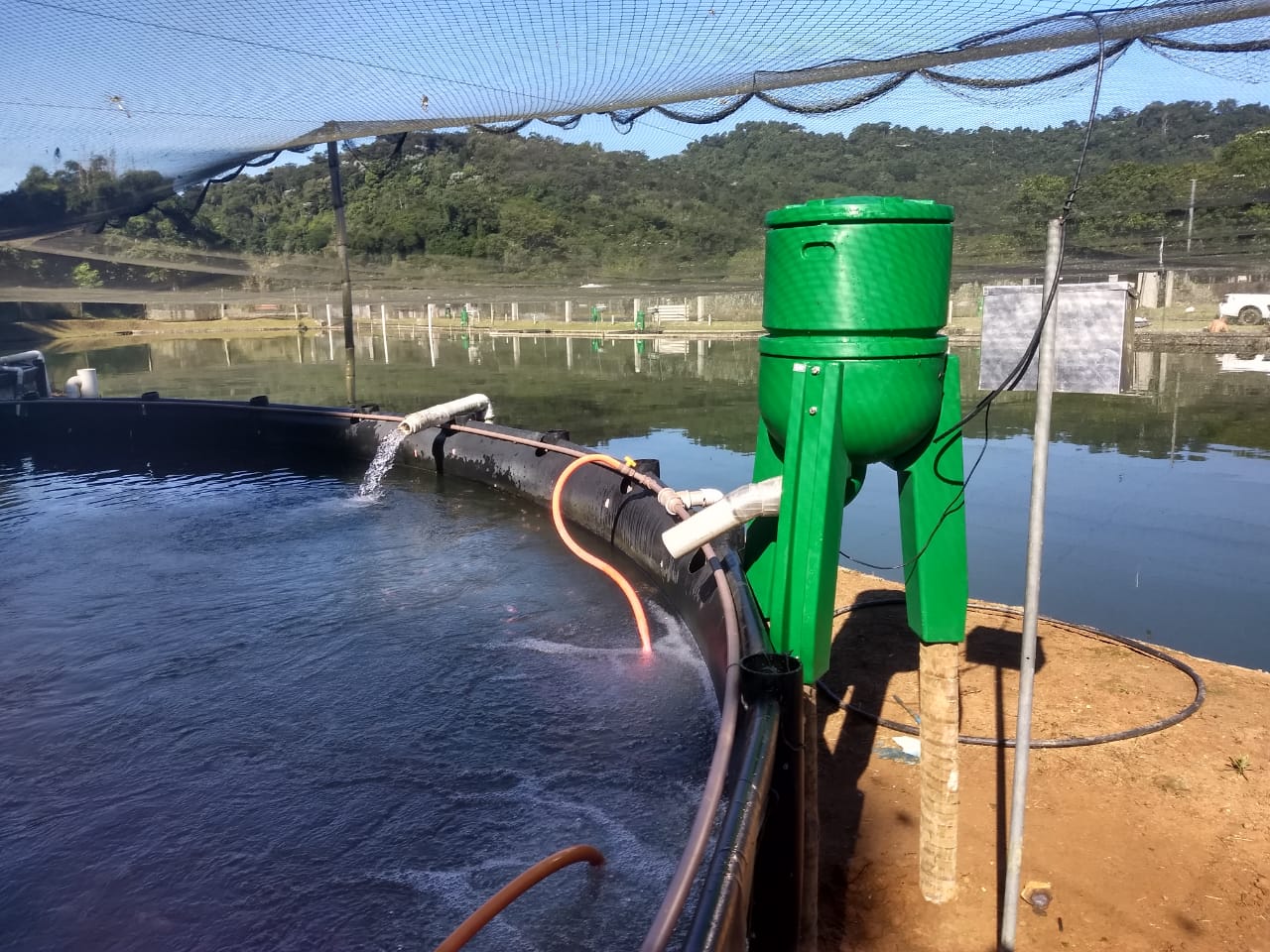 A automação do arraçoamento ajuda a garantir o fornecimento adequado de nutrientes para os animais, melhorando o desenvolvimento e saudabilidade da criação
