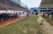 Encerramento Fenasul Expoleite - Credito Nestor Tipa Júnior AgroEffective Divulgação