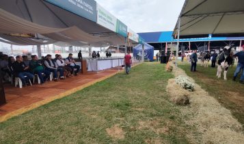 Encerramento Fenasul Expoleite - Credito Nestor Tipa Júnior AgroEffective Divulgação