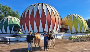Primeiros animais chegam para a Fenasul Expoleite